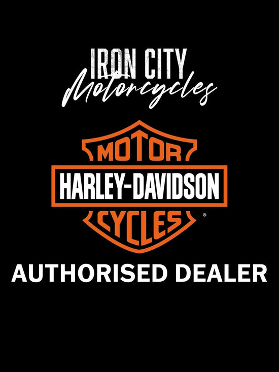 Harley-Davidson Sport-Gepäckträger für HoldFast Sissy Bar-Halterung – Schwarz glänzend 50300125