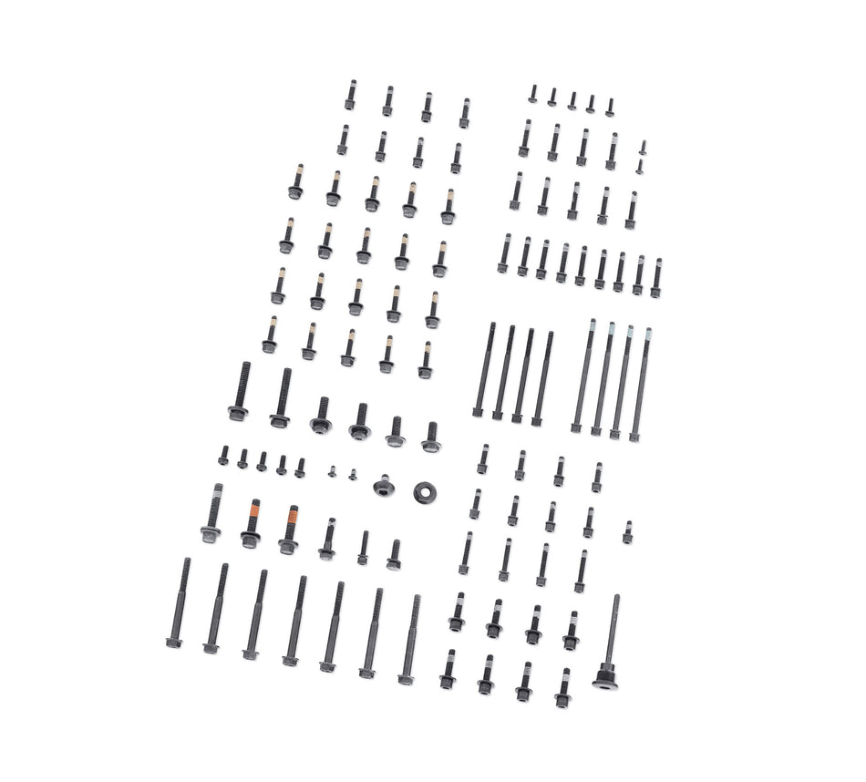 Harley Davidson 12600256 Full Engine Hardware Kit KIT,MISC HWD,SOFTAIL,FULL SET