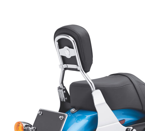Harley Davidson 52300022 Niedriger Sissy Bar-Bügel im Mini-Medaillon-Stil KIT-UPRITE, MED-LOW/RND BAR, CHR