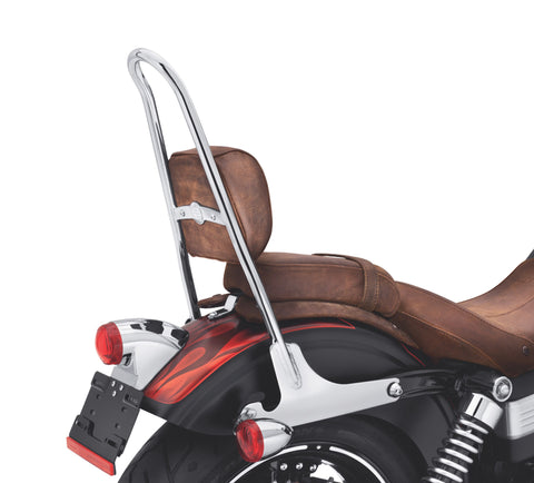 Harley Davidson 52300044A Einteiliges HD Detachables Sissy Bar Bügel-KIT - RÜCKENLEHNENSTRUKTUR, CHRM, DY