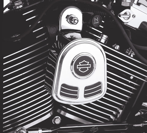 Harley-Davidson 69166-01B Bar &amp; Shield Hupenabdeckung