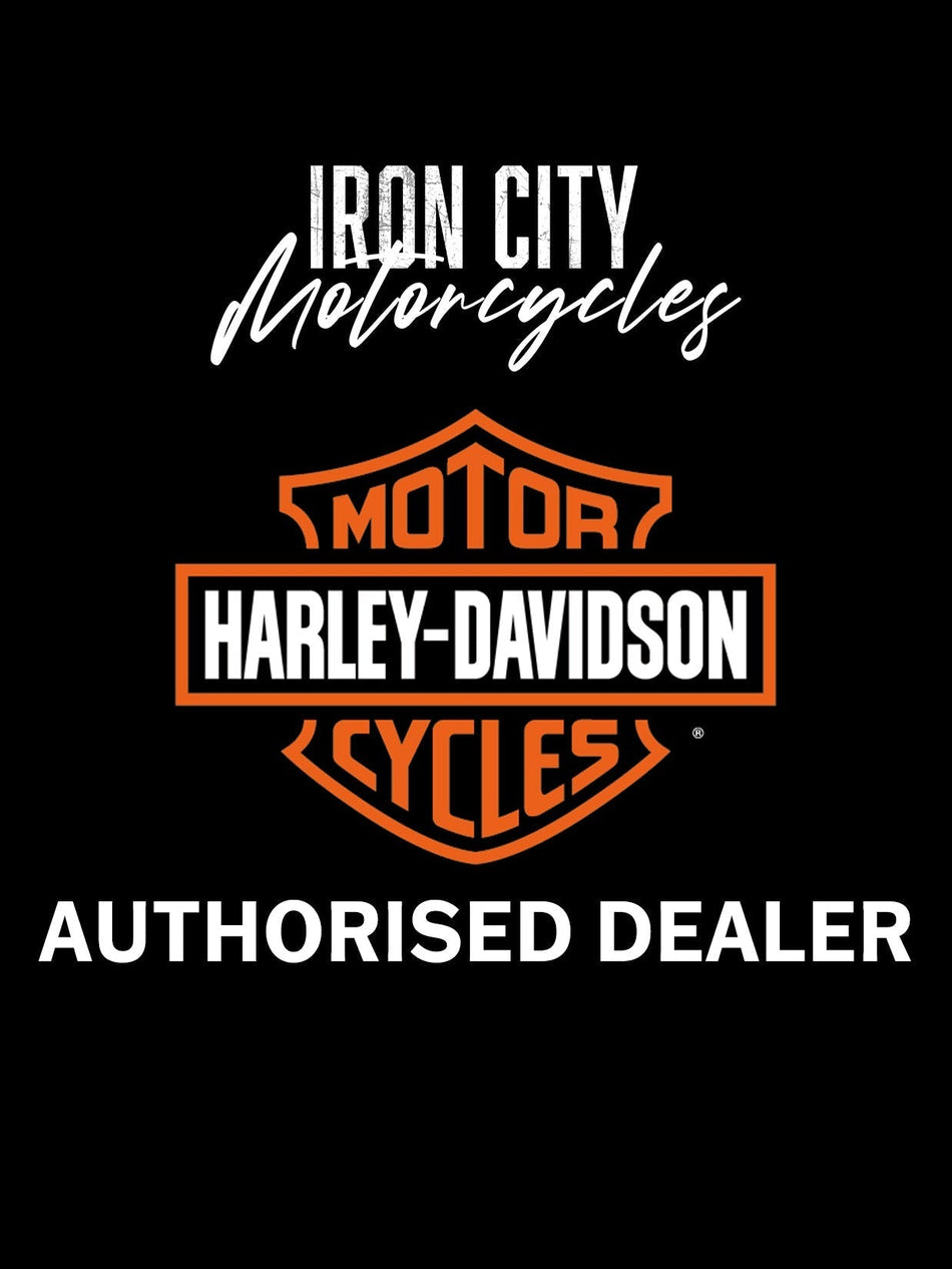 Harley Davidson HoldFast Sissy Bar Upright, niedrige Höhe 52300702