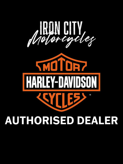Harley-Davidson Chopped Tour-Pak Gepäcksystem – Dunkelgrau 53000402FBT