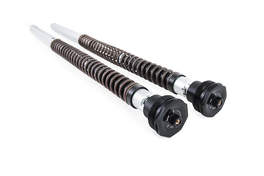 Öhlins Fork Cartridge Kit (FKA 120)