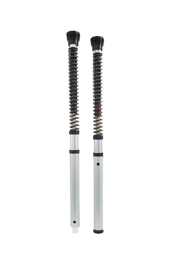 Öhlins Fork Cartridge Kit (FGK 227)