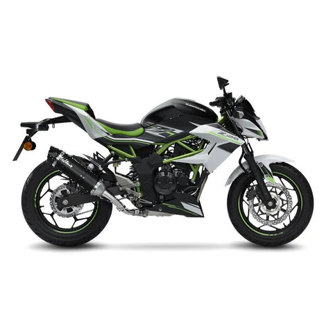LeoVince LV One EVO Carbon Slip-on Muffler Ece Kawasaki (14294E)