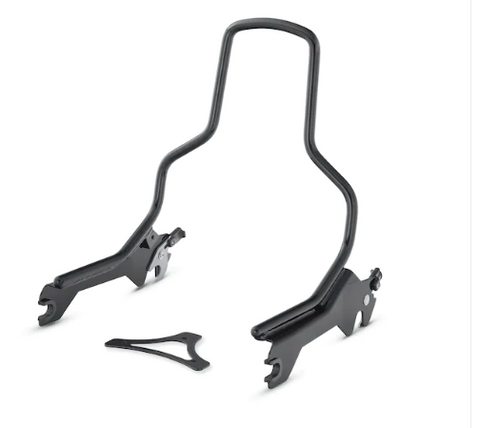 Harley-Davidson 52300439 HoldFast Sissy Bar-Bügel
