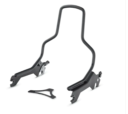 Harley-Davidson 52300439 HoldFast Sissy Bar-Bügel