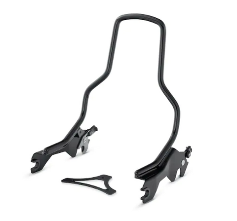 Harley-Davidson 52300454 HoldFast Sissy Bar Bügel, Standardhöhe, schwarz glänzend